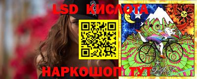 крисы Сланцы